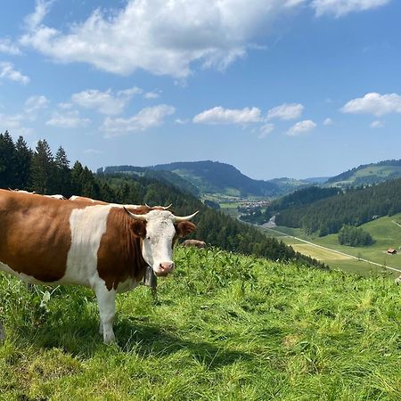 Weitnaustyle - Renoviert, Modern, Allergikerfreundlich Exteriör bild
