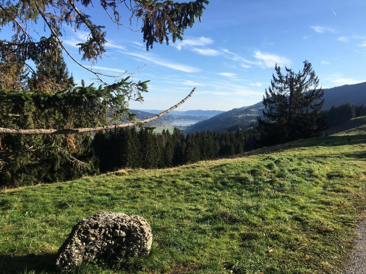 Weitnaustyle - Renoviert, Modern, Allergikerfreundlich Exteriör bild