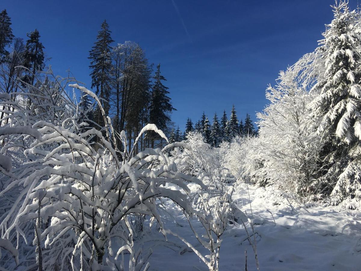 Weitnaustyle - Renoviert, Modern, Allergikerfreundlich Exteriör bild