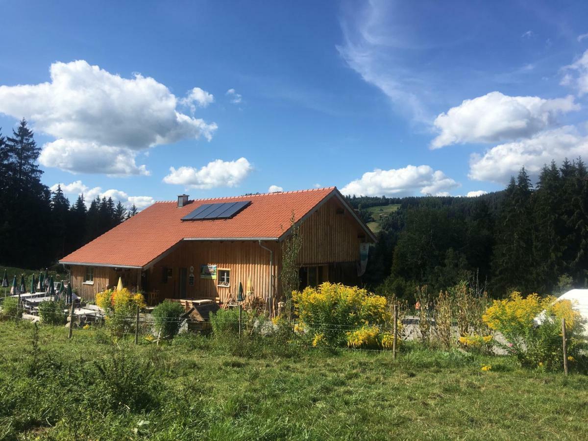 Weitnaustyle - Renoviert, Modern, Allergikerfreundlich Exteriör bild